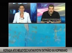 ΝΕΑ ΠΑΡΕΜΒΑΣΗ ΤΟΥ ΑΝΤΙΠΡΟΕΔΡΟΥ ΤΟΥ ΠΑΡΑΡΤΗΜΑΤΟΣ ΠΕΛΟΠΟΝΝΗΣΟΥ ΤΟΥ ΓΕΩΤ.Ε.Ε. ΣΤΟ BEST TV ΓΙΑ ΤΟ ΘΕΜΑ ΤΩΝ ΑΥΞΗΜΕΝΩΝ ΠΛΗΘΥΣΜΩΝ ΜΕΔΟΥΣΩΝ ΣΕ ΚΟΡΙΝΘΙΑΚΟ & ΠΑΤΡΑΪΚΟ ΚΟΛΠΟ